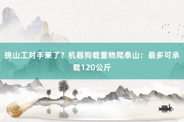 挑山工对手来了？机器狗载重物爬泰山：最多可承载120公斤