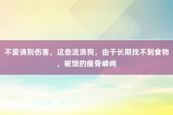 不爱请别伤害，这些流浪狗，由于长期找不到食物，被饿的瘦骨嶙峋