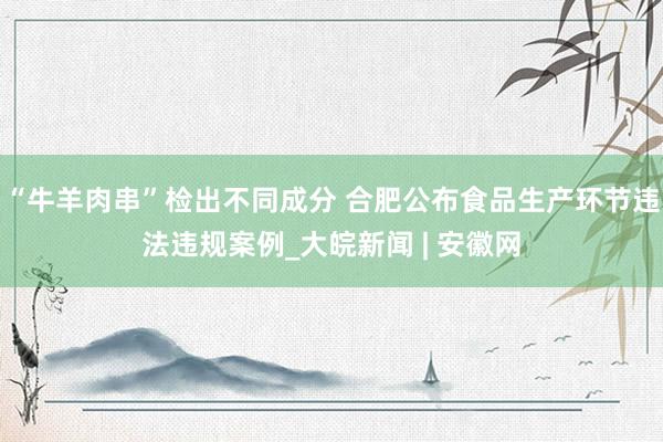 “牛羊肉串”检出不同成分 合肥公布食品生产环节违法违规案例_大皖新闻 | 安徽网