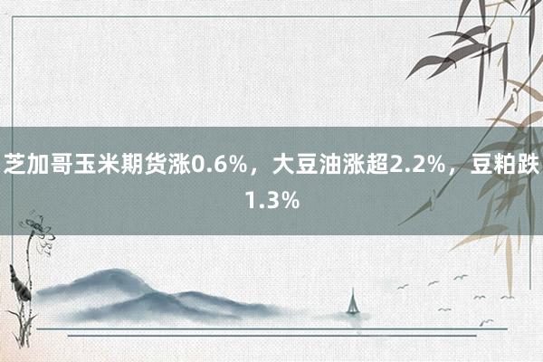 芝加哥玉米期货涨0.6%，大豆油涨超2.2%，豆粕跌1.3%