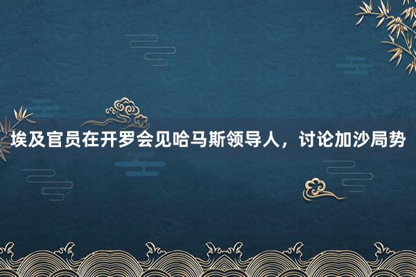 埃及官员在开罗会见哈马斯领导人，讨论加沙局势