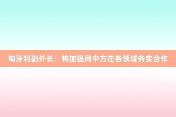 匈牙利副外长：将加强同中方在各领域务实合作