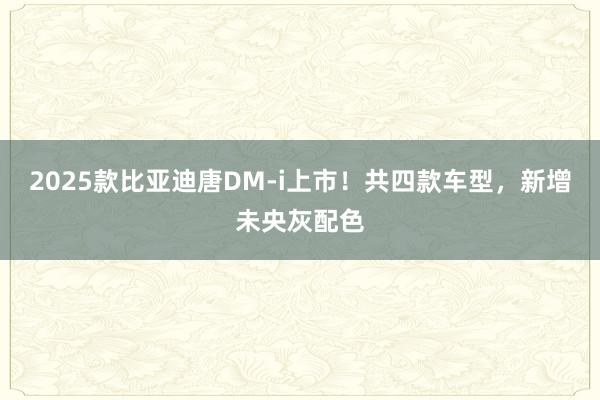 2025款比亚迪唐DM-i上市！共四款车型，新增未央灰配色