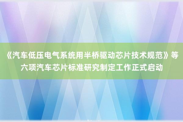 《汽车低压电气系统用半桥驱动芯片技术规范》等六项汽车芯片标准研究制定工作正式启动