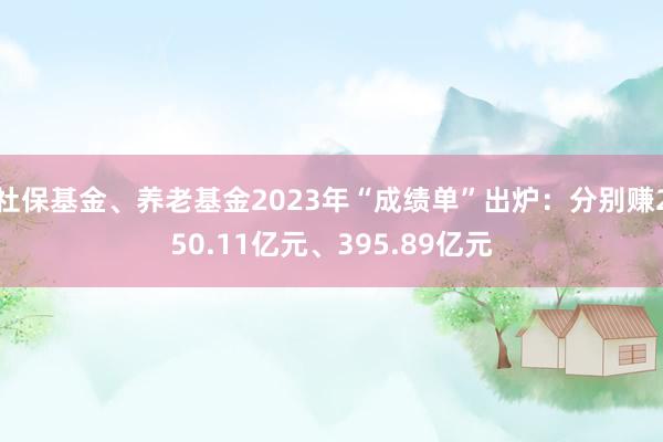 社保基金、养老基金2023年“成绩单”出炉：分别赚250.11亿元、395.89亿元