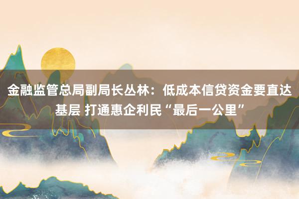 金融监管总局副局长丛林：低成本信贷资金要直达基层 打通惠企利民“最后一公里”