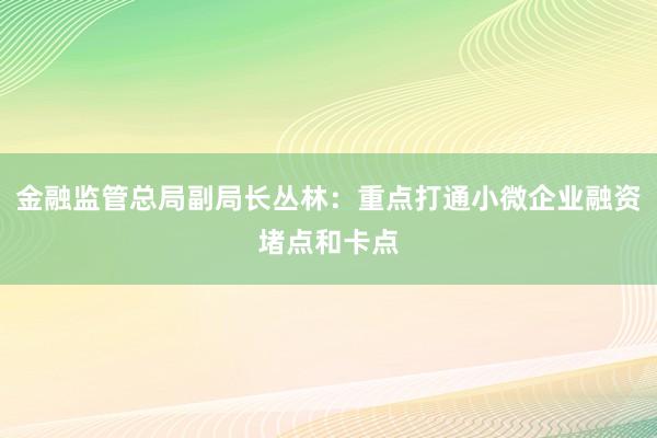 金融监管总局副局长丛林：重点打通小微企业融资堵点和卡点