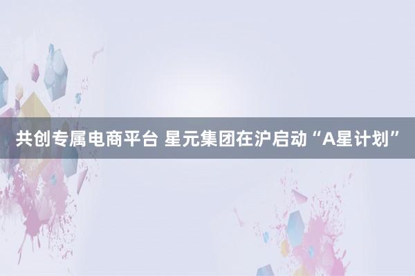 共创专属电商平台 星元集团在沪启动“A星计划”