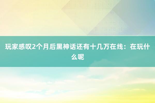 玩家感叹2个月后黑神话还有十几万在线：在玩什么呢