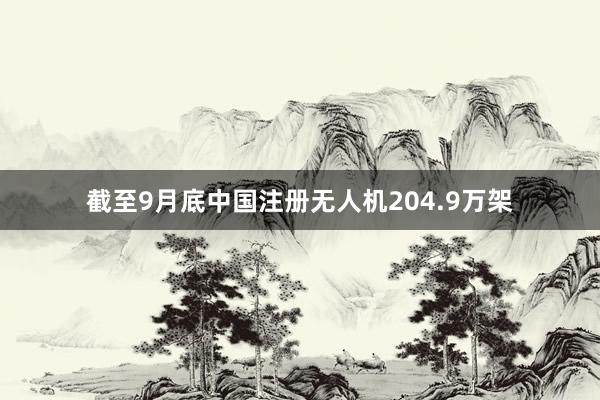 截至9月底中国注册无人机204.9万架