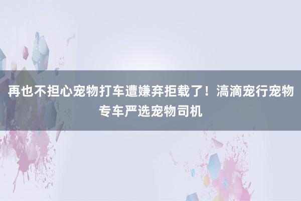 再也不担心宠物打车遭嫌弃拒载了！滈滴宠行宠物专车严选宠物司机