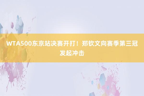 WTA500东京站决赛开打！郑钦文向赛季第三冠发起冲击