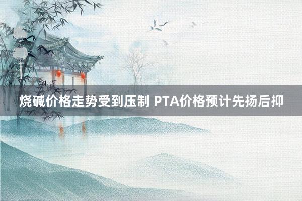 烧碱价格走势受到压制 PTA价格预计先扬后抑