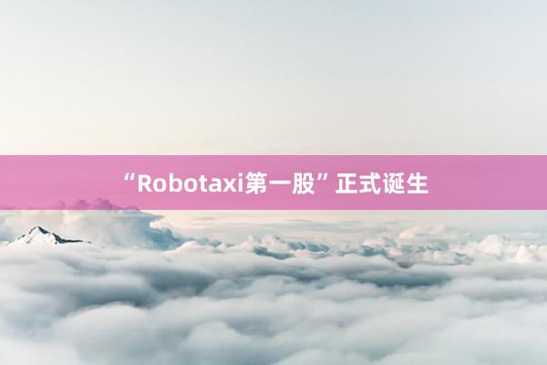 “Robotaxi第一股”正式诞生