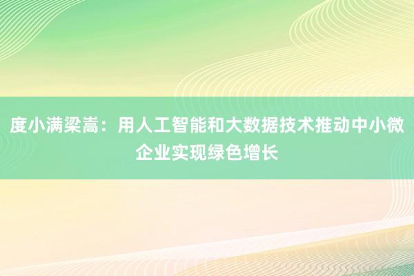 度小满梁嵩：用人工智能和大数据技术推动中小微企业实现绿色增长