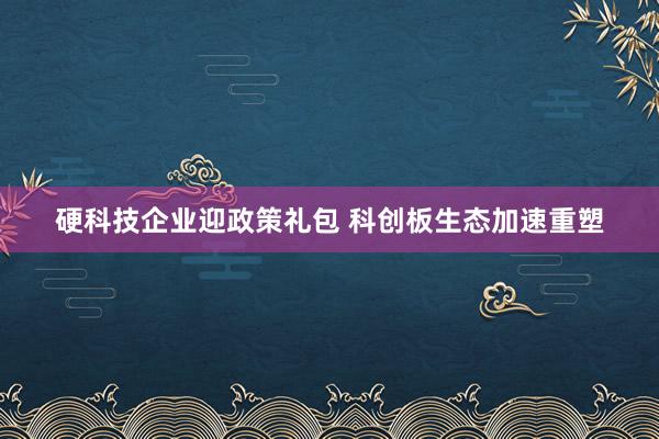 硬科技企业迎政策礼包 科创板生态加速重塑