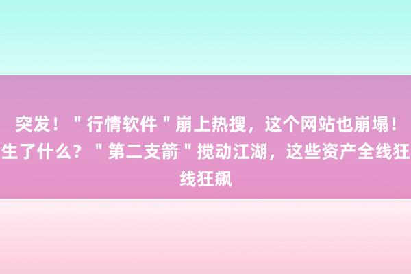 突发！＂行情软件＂崩上热搜，这个网站也崩塌！发生了什么？＂第二支箭＂搅动江湖，这些资产全线狂飙