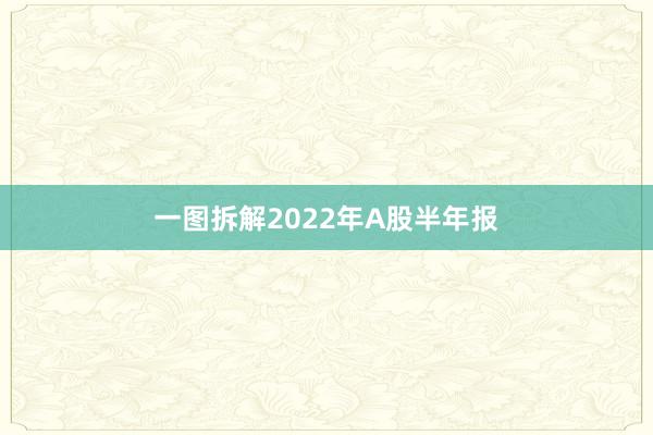 一图拆解2022年A股半年报