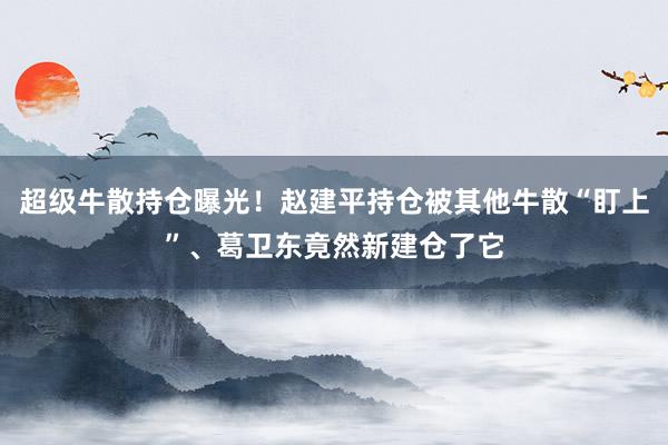 超级牛散持仓曝光！赵建平持仓被其他牛散“盯上”、葛卫东竟然新建仓了它