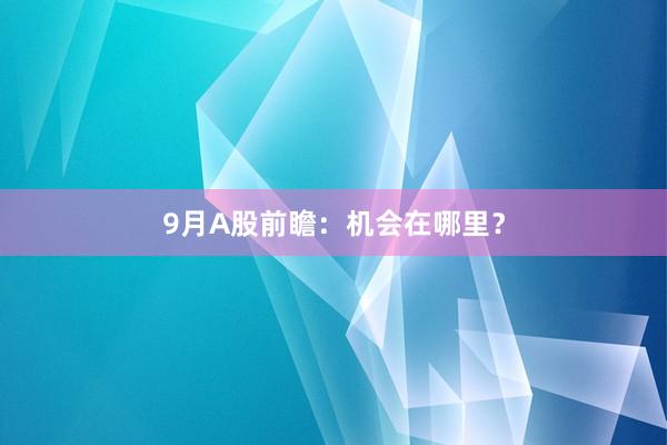 9月A股前瞻：机会在哪里？