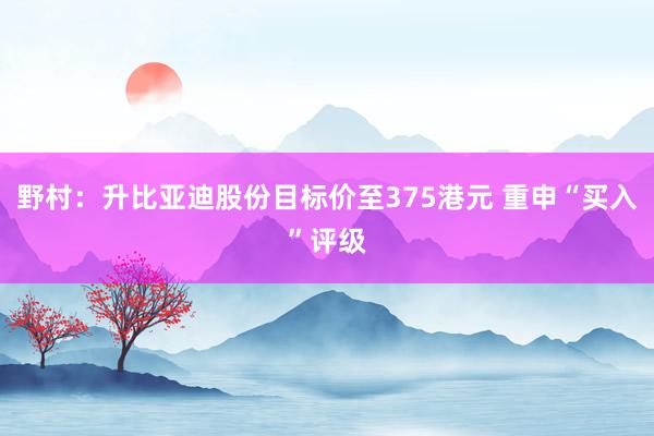 野村：升比亚迪股份目标价至375港元 重申“买入”评级