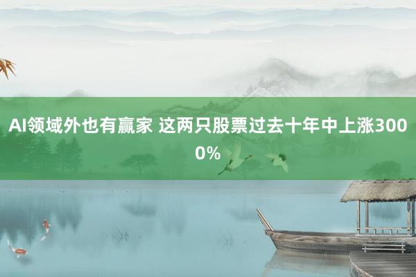 AI领域外也有赢家 这两只股票过去十年中上涨3000%