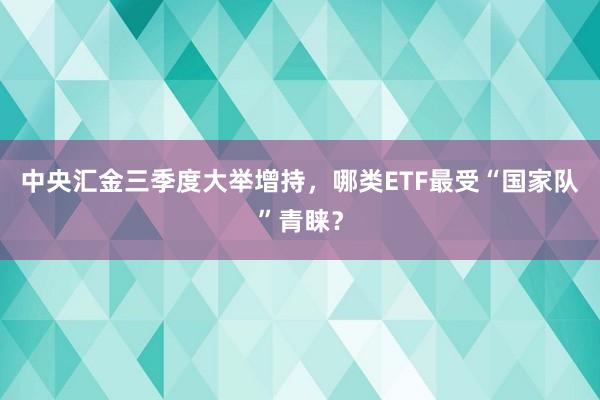 中央汇金三季度大举增持，哪类ETF最受“国家队”青睐？