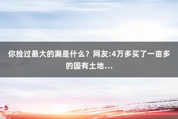 你捡过最大的漏是什么？网友:4万多买了一亩多的国有土地…