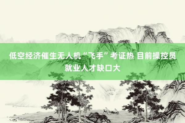 低空经济催生无人机“飞手”考证热 目前操控员就业人才缺口大