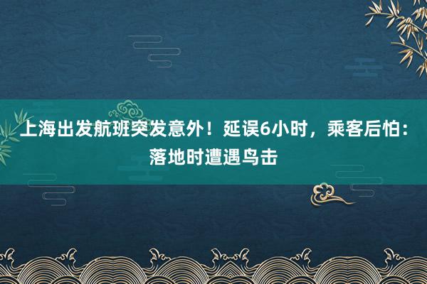 上海出发航班突发意外！延误6小时，乘客后怕：落地时遭遇鸟击