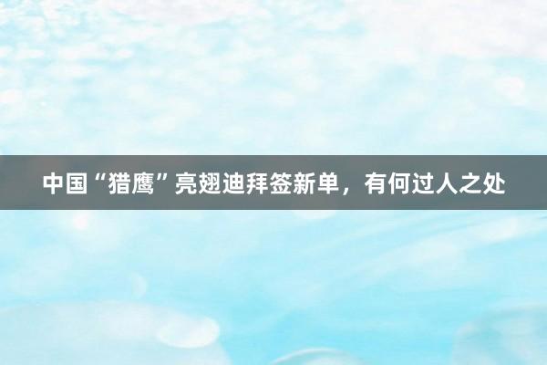 中国“猎鹰”亮翅迪拜签新单，有何过人之处