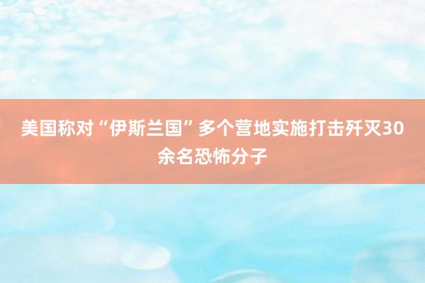 美国称对“伊斯兰国”多个营地实施打击歼灭30余名恐怖分子