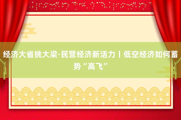 经济大省挑大梁·民营经济新活力丨低空经济如何蓄势“高飞”