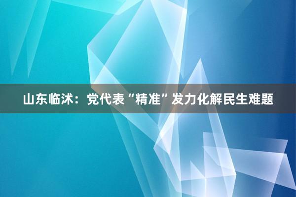 山东临沭：党代表“精准”发力化解民生难题