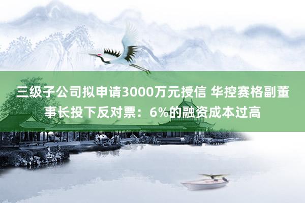 三级子公司拟申请3000万元授信 华控赛格副董事长投下反对票：6%的融资成本过高