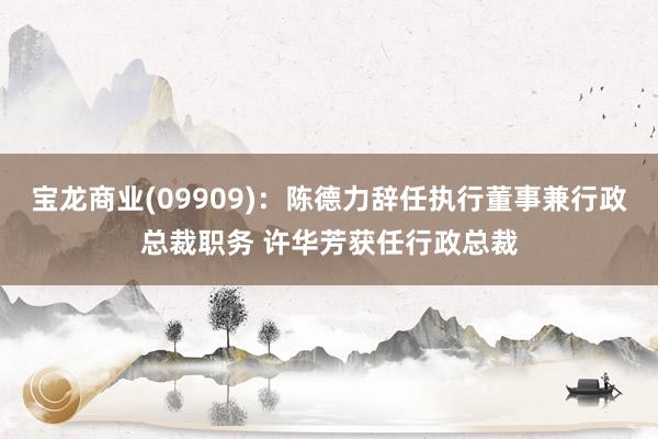 宝龙商业(09909)：陈德力辞任执行董事兼行政总裁职务 许华芳获任行政总裁