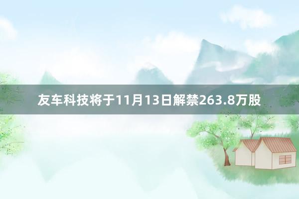 友车科技将于11月13日解禁263.8万股