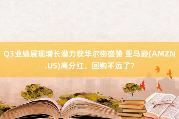 Q3业绩展现增长潜力获华尔街盛赞 亚马逊(AMZN.US)离分红、回购不远了？