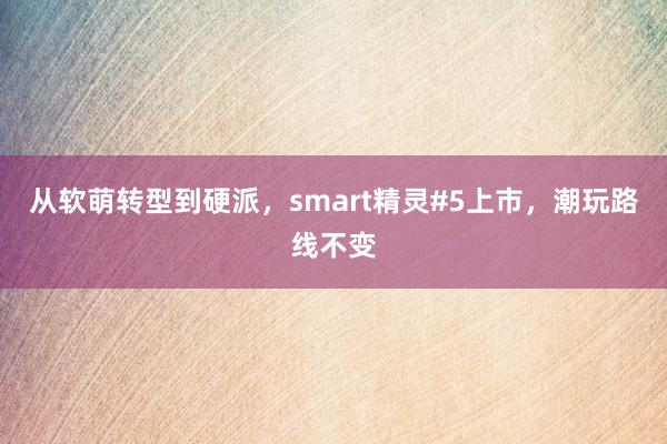 从软萌转型到硬派，smart精灵#5上市，潮玩路线不变