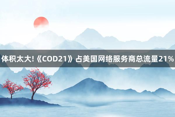 体积太大!《COD21》占美国网络服务商总流量21%