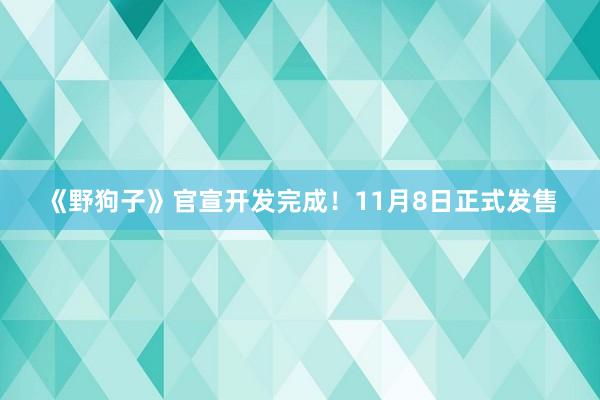 《野狗子》官宣开发完成！11月8日正式发售