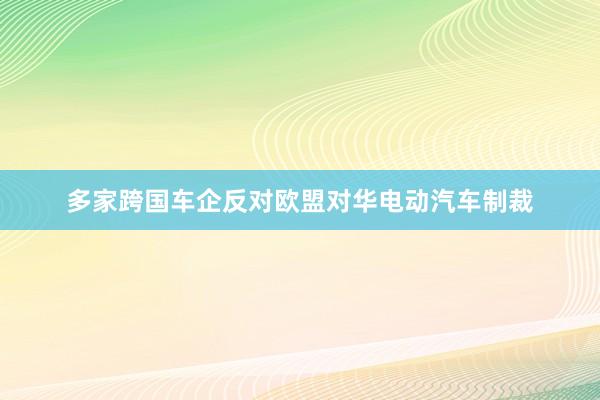 多家跨国车企反对欧盟对华电动汽车制裁