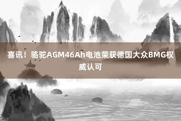 喜讯！骆驼AGM46Ah电池荣获德国大众BMG权威认可