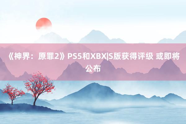 《神界：原罪2》PS5和XBX|S版获得评级 或即将公布