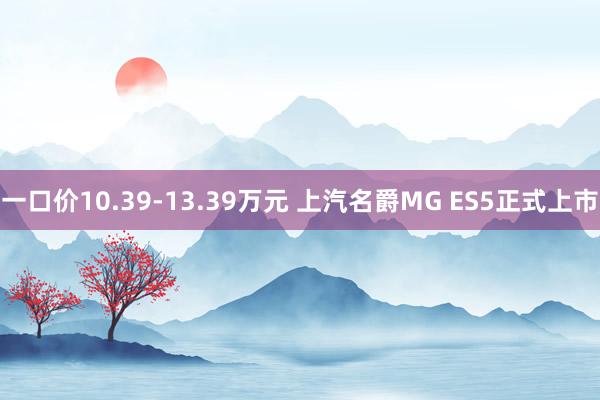 一口价10.39-13.39万元 上汽名爵MG ES5正式上市