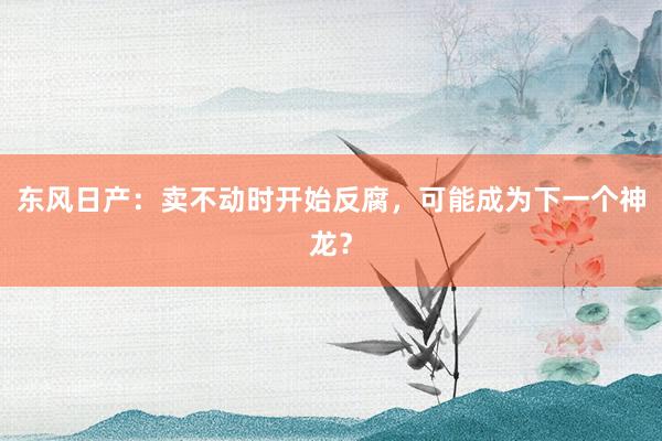 东风日产：卖不动时开始反腐，可能成为下一个神龙？