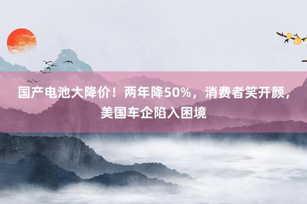 国产电池大降价！两年降50%，消费者笑开颜，美国车企陷入困境