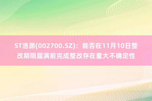 ST浩源(002700.SZ)：能否在11月10日整改期限届满前完成整改存在重大不确定性