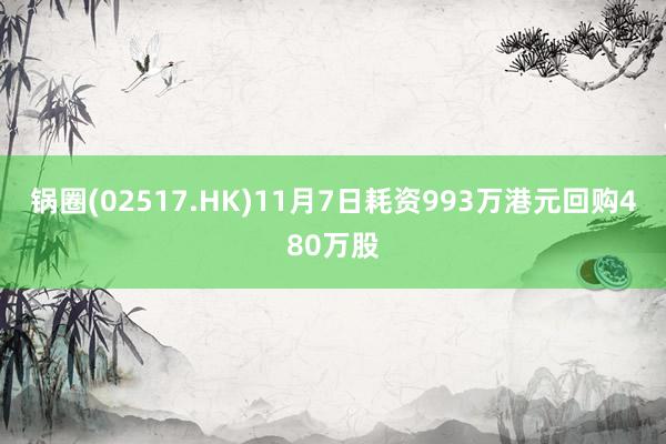 锅圈(02517.HK)11月7日耗资993万港元回购480万股