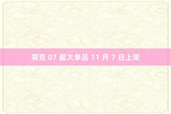 领克 07 超大单品 11 月 7 日上架